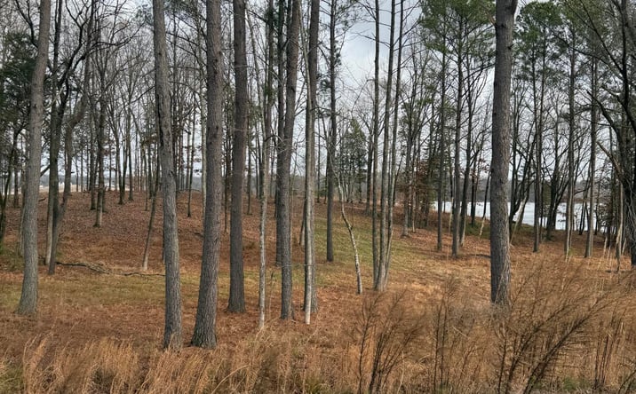 Pictures of Land property located at Lot 16 Stately Oak Dr, Huntingdon, TN 38344 for sales - image #1