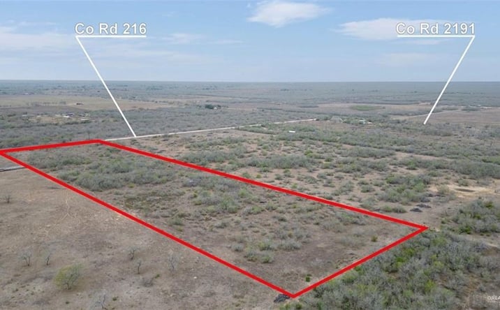 Pictures of Land property located at 165 CR 216, Falfurrias, TX 78355 for sales - image #1