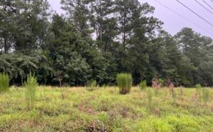 Pictures of Land property located at Tract A Varden Drive, Aiken, SC 29803 for sales - image #1