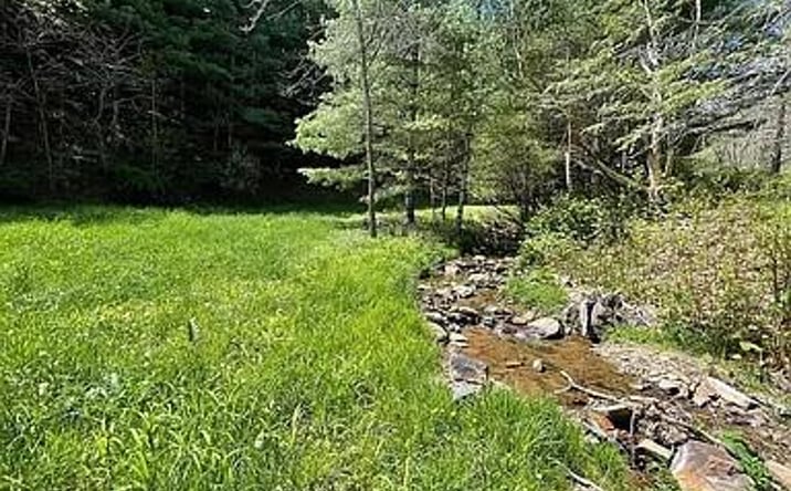 Pictures of Land, Multifamily property located at 413 Low Gap Rd, Mouth of Wilson, VA 24363 for sales - image #1