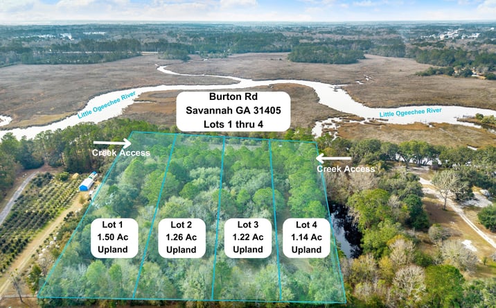 Pictures of Land property located at 181 Burton Rd, Savannah, GA 31405 for sales - image #1