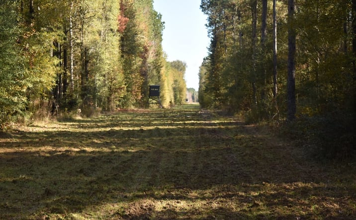 Pictures of Land property located at 40459 Greenwell Springs Rd, Clinton, LA 70722 for sales - image #1