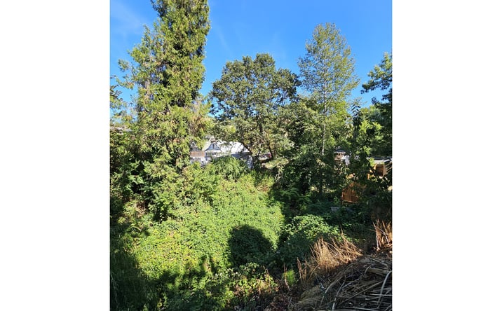 Pictures of Land property located at 1843 SE Main St, Roseburg, OR 97470 for sales - image #1