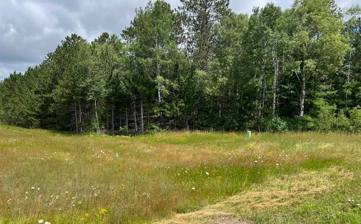 Pictures of Land property located at TBD US 141 Highway, Crystal Falls, MI 49920 for sales - image #1