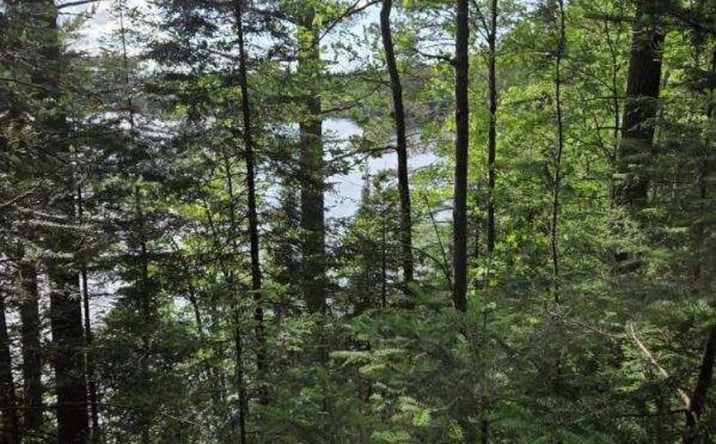 Pictures of Land property located at TBD W Paint Lake Road, Iron River, MI 49935 for sales - image #1