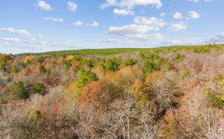 Pictures of Land property located at 34 Tram Trail, Rattan, OK 74562 for sales - image #1