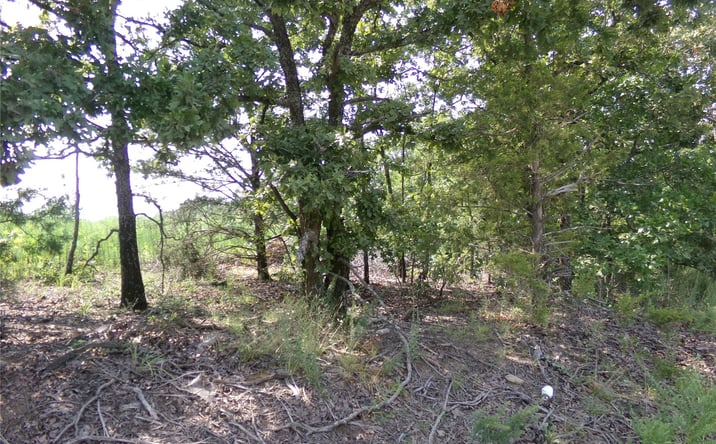 Pictures of Land property located at N 4230 Road, Eufaula, OK 74432 for sales - image #1