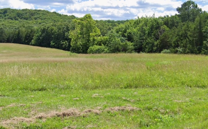 image of property at 800 E WOODLAWN DR Leadington MO 63640-7979