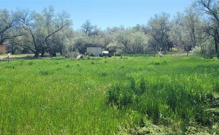 Pictures of Land property located at 216 Lane 9, Powell, WY 82435 for sales - image #1