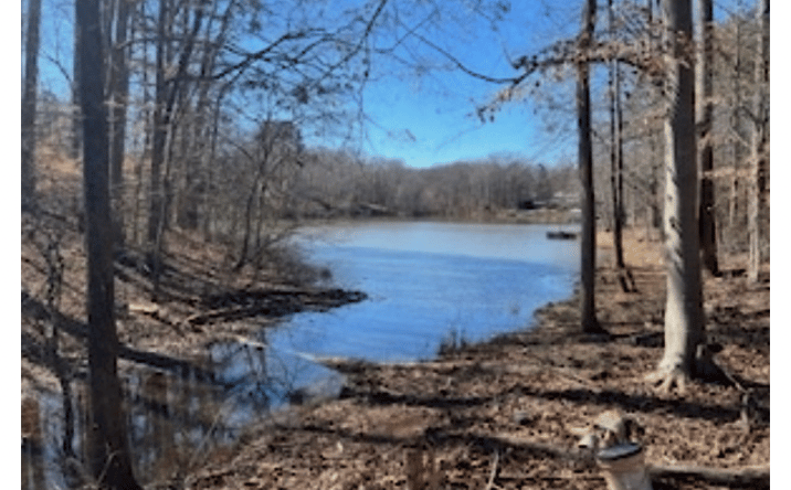 Pictures of Land property located at Berry Shoals Rd, Duncan, SC 29334 for sales - image #1