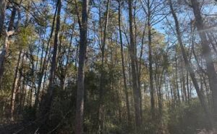 Pictures of Land property located at 0 Kings Sport Way, Aiken, SC 29801 for sales - image #1