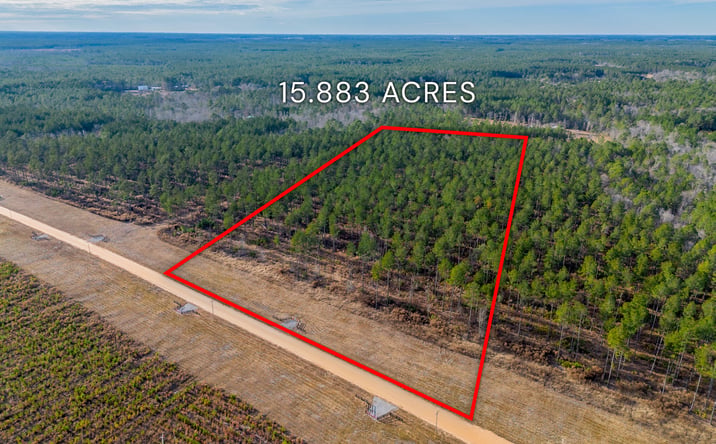 Pictures of Land property located at Arcola Rd, Brooklet, GA 30415 for sales - image #1