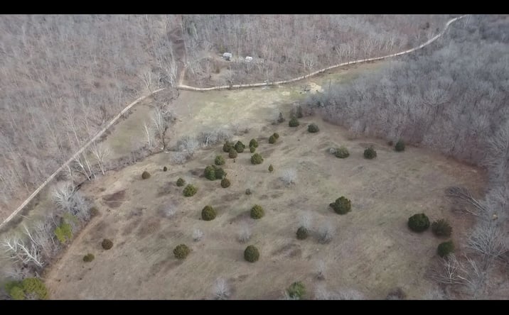 Pictures of Land property located at TBD Carter D-304, Van Buren, MO 63965 for sales - image #1