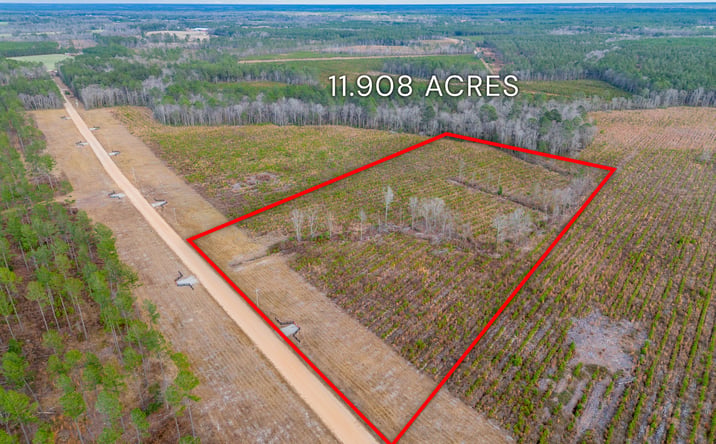 Pictures of Land property located at Arcola Rd, Brooklet, GA 30415 for sales - image #1