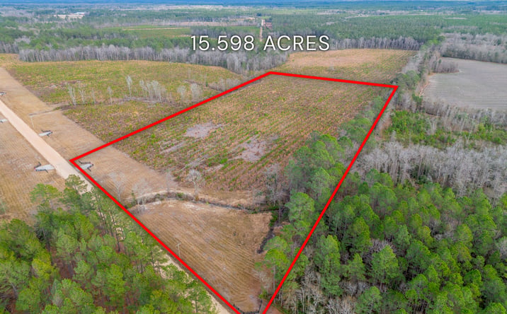 Pictures of Land property located at Arcola Rd, Brooklet, GA 30415 for sales - image #1