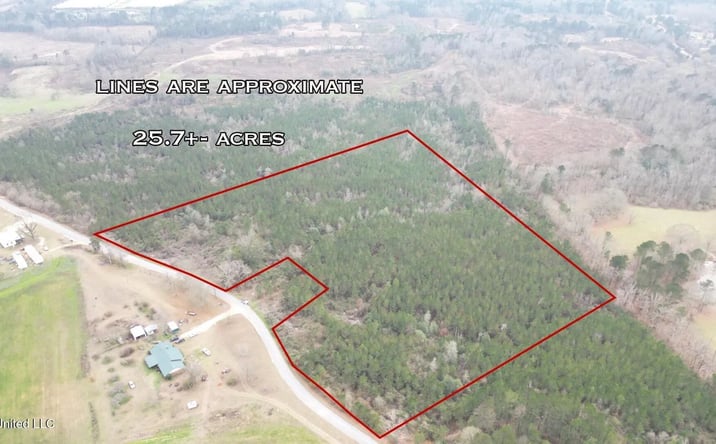 Pictures of Land property located at 1847 Smith County Road 123, 70062, MS 39111 for sales - image #1