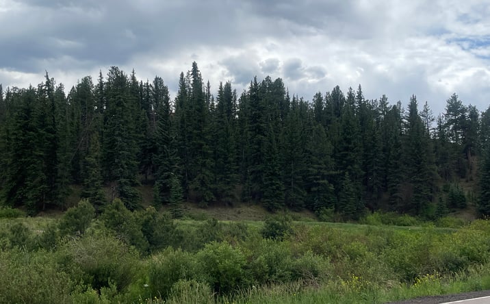 Pictures of Land property located at 00 Wildhorn Rd, 16390, CO 80816 for sales - image #1