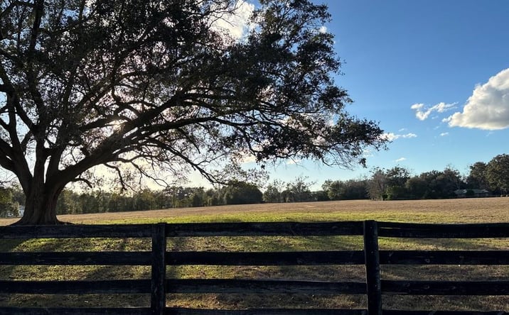 Pictures of Land property located at TBD NW 165th Ave, High Springs, FL 32643 for sales - image #1