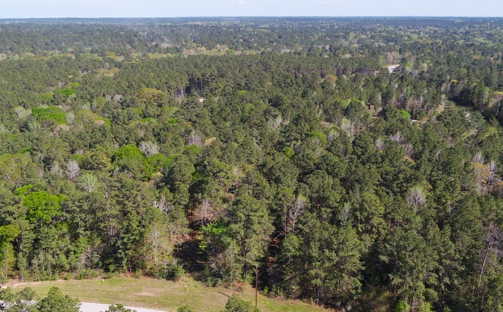 Pictures of Land property located at Bighorn Road, Huntsville, TX 77340 for sales - image #1
