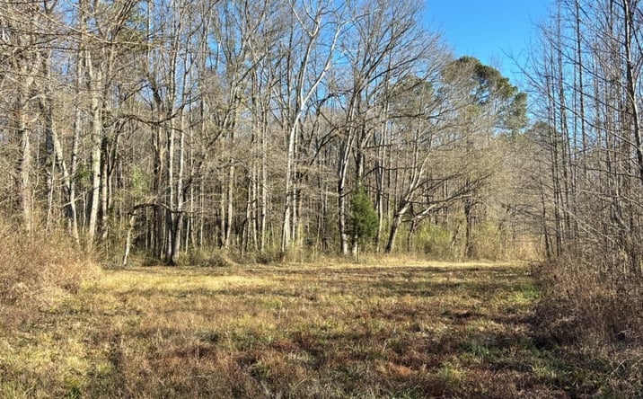 Pictures of Land property located at 00 Coon Creek Rd, Carthage, MS 39051 for sales - image #1