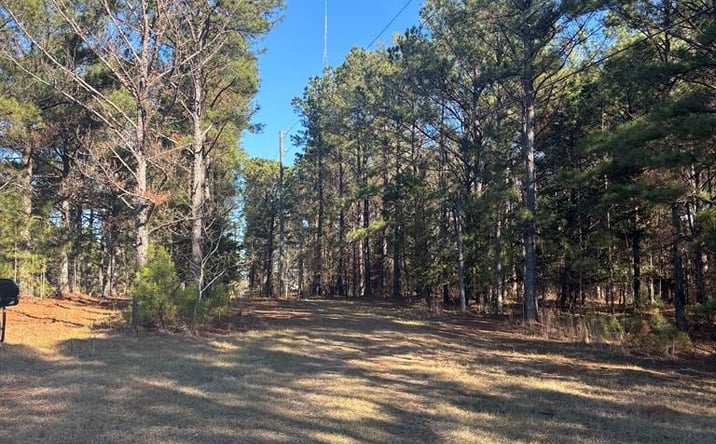 Pictures of Land property located at 00 Geneva Highway, Talbotton, GA 31827 for sales - image #1