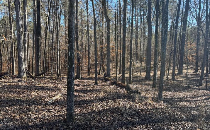 Pictures of Land property located at 00 Carl Mathis Rd, Talbotton, GA 31827 for sales - image #1