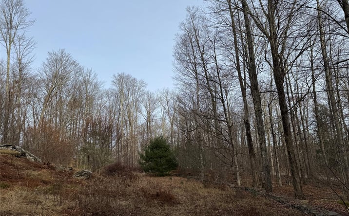Pictures of Land property located at Hilltop Road, Thompson, NY 12701 for sales - image #1