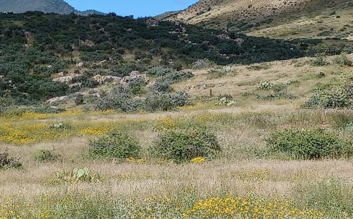 Pictures of Land property located at 10450 E Vaca Bonita, Dewey-Humboldt, AZ 86329 for sales - image #1