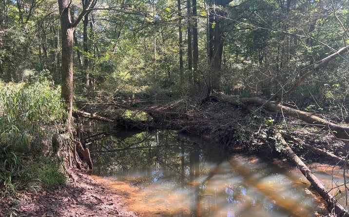 Pictures of Land property located at Little Bogue Homa Creek 60, Heidelberg, MS 39439 for sales - image #1