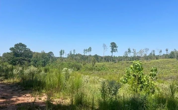 Pictures of Land property located at Wilkerson Property-North, Louin, MS 39338 for sales - image #1