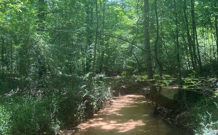 Pictures of Land property located at Dyar Property - Shubuta, Buckatunna, MS 39322 for sales - image #1