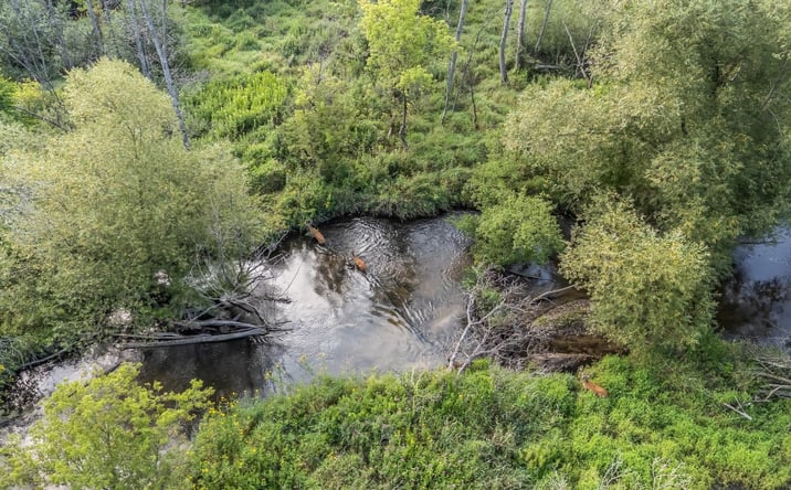 Pictures of Land property located at Pine St, Pine River, WI 54965 for sales - image #1
