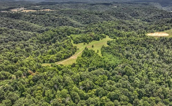 Pictures of Land property located at Tennessee Ridge Rd, Parksville, KY 40464 for sales - image #1