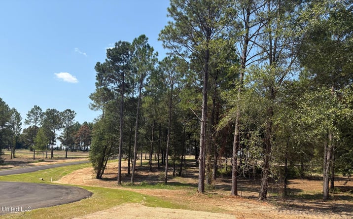 Pictures of Land property located at Sunfish Lane, Agricola, MS 39452 for sales - image #1