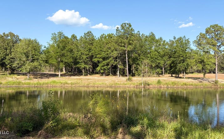 Pictures of Land property located at Sunfish Lane, Agricola, MS 39452 for sales - image #1