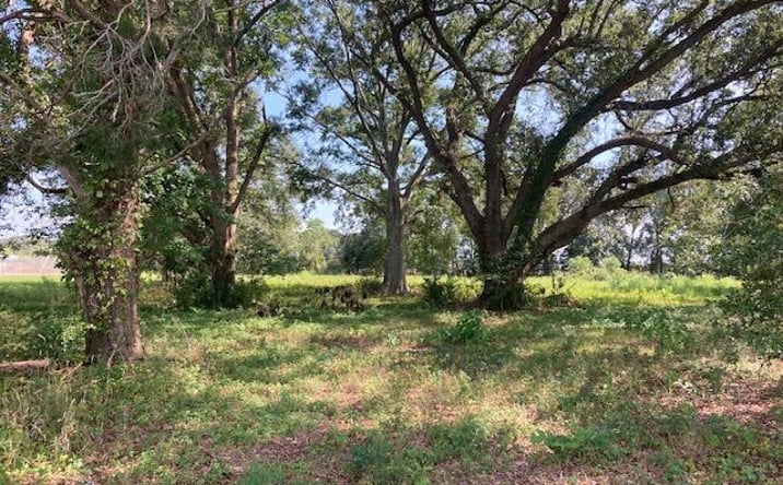 Pictures of Land property located at 2 Rena Rd, Eunice, LA 70535 for sales - image #1
