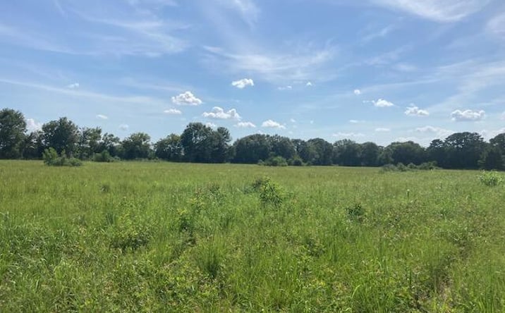 Pictures of Land property located at 1 Rena Rd, Eunice, LA 70535 for sales - image #1
