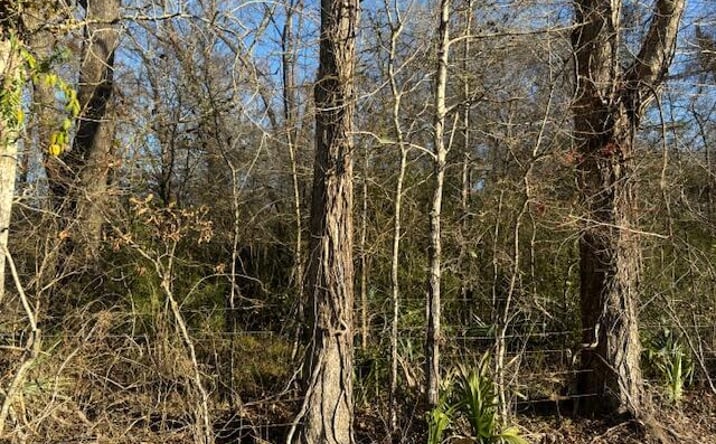 Pictures of Land property located at Heard Sylvester Rd, Washington, LA 70589 for sales - image #1
