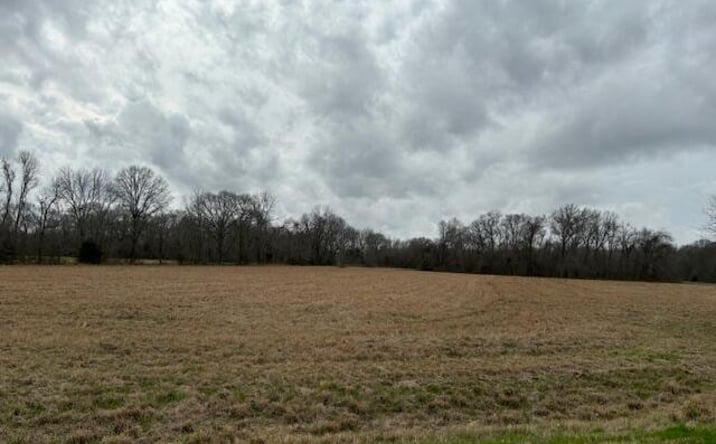 Pictures of Land property located at Grand Prairie Hwy, Washington, LA 70589 for sales - image #1