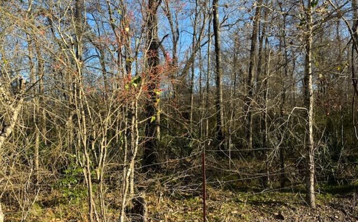Pictures of Land property located at 1 Heard Sylvester Rd, Washington, LA 70589 for sales - image #1