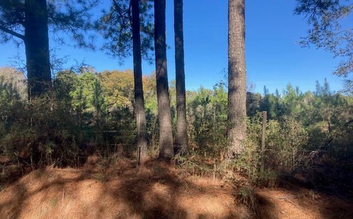 Pictures of Land property located at Landry Lane, Eunice, LA 70535 for sales - image #1