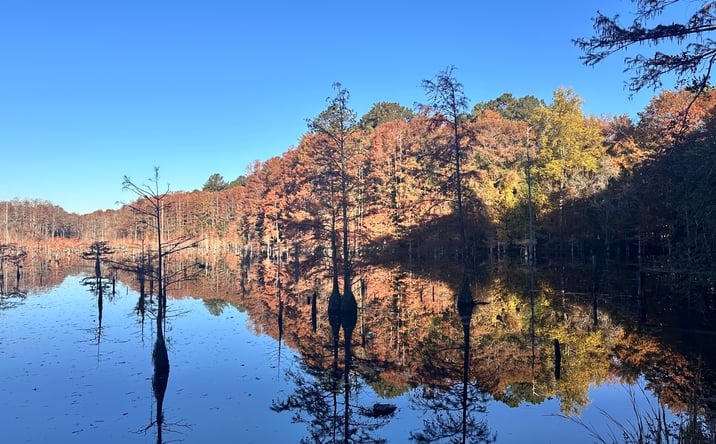 Pictures of Land property located at 0 W Bobo Newsom Hwy, Hartsville, SC 29550 for sales - image #1