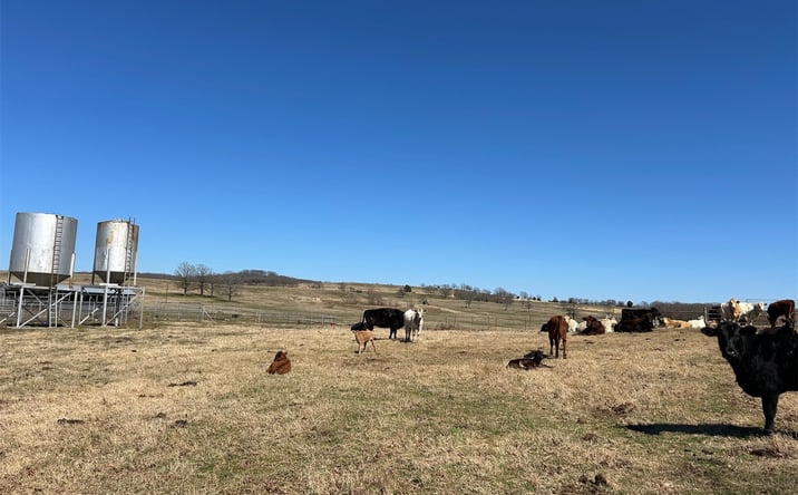 Pictures of Land property located at 461296 E 1001 Road, Sallisaw, OK 74955 for sales - image #1