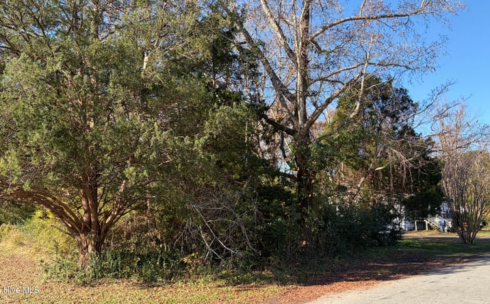 Pictures of Land property located at 0 George Street, Belhaven, NC 27810 for sales - image #1