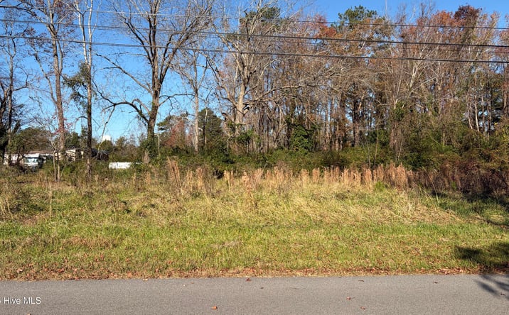 Pictures of Land property located at 0 Railroad Street, Belhaven, NC 27810 for sales - image #1