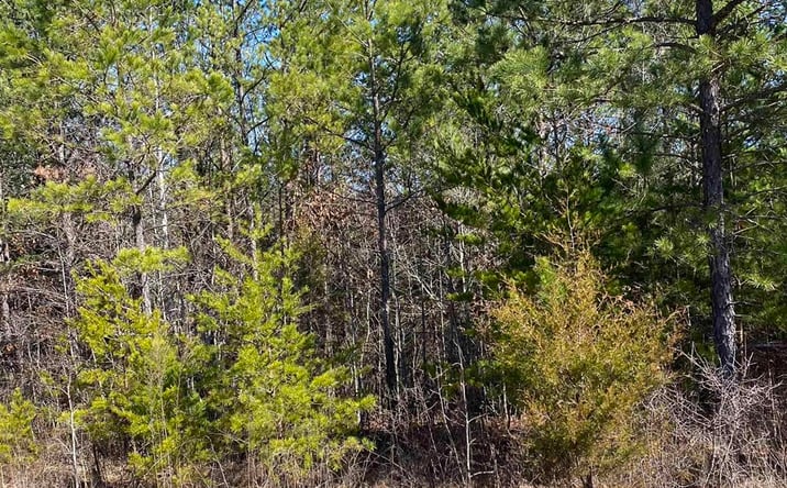 Pictures of Land property located at Lot 4 1st Add Alyson Ave, Fort Payne, AL 35968 for sales - image #1