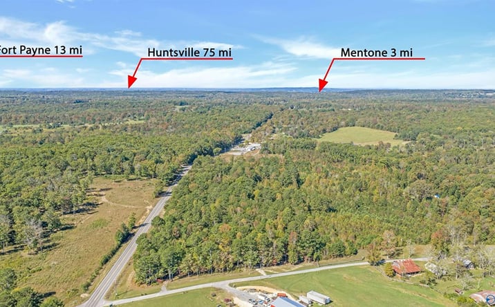 Pictures of Land property located at Alabama Highway 117, Mentone, AL 35984 for sales - image #1
