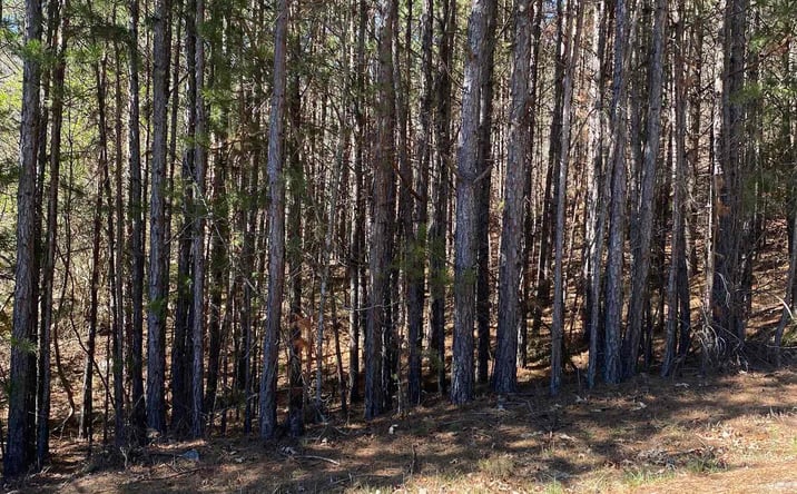 Pictures of Land property located at Alyson Ave, Fort Payne, AL 35968 for sales - image #1