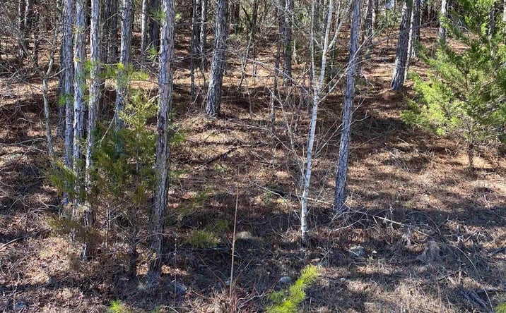 Pictures of Land property located at Lot 3 Blk 2 Alyson Ave, Fort Payne, AL 35968 for sales - image #1