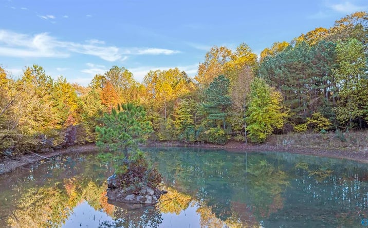 Pictures of Land property located at 10 .57 Acres County Road 166, Fort Payne, AL 35967 for sales - image #1